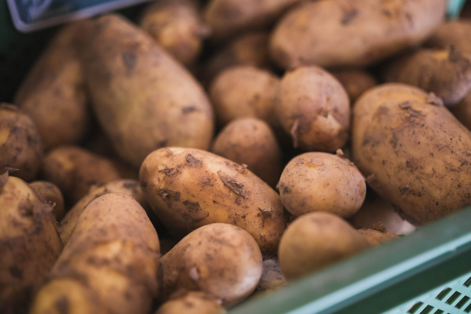 Kartoffeln Kartoffeln frisch vom Feld