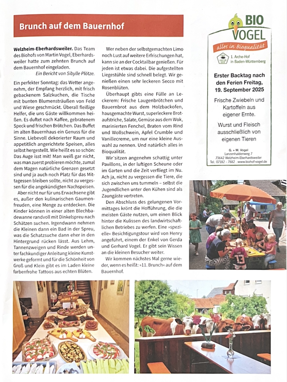 Zeitungsbericht vom Brunch auf dem Bauernhof 2025 Zeitungsbericht vom Brunch auf dem Bauernhof 2025